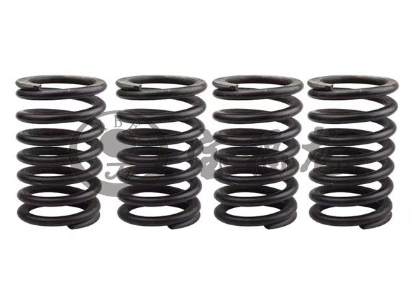 Titanium spring